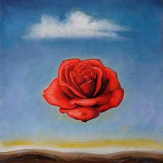 rose in the sky